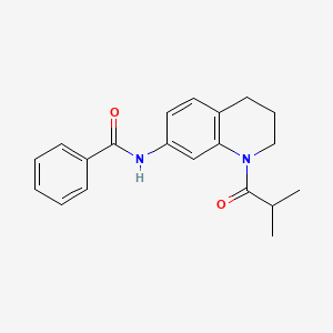 molecular formula C20H22N2O2 B2914044 N-[1-(2-methylpropanoyl)-1,2,3,4-tetrahydroquinolin-7-yl]benzamide CAS No. 1005301-54-1