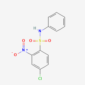 4-chloro-2-nitro-N-phenylbenzenesulfonamide