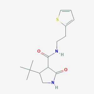 4-tert-butyl-2-oxo-N-[2-(thiophen-2-yl)ethyl]pyrrolidine-3-carboxamide