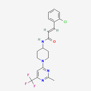 (E)-3-(2-chlorophenyl)-N-(1-(2-methyl-6-(trifluoromethyl)pyrimidin-4-yl)piperidin-4-yl)acrylamide
