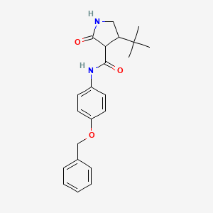 N-[4-(benzyloxy)phenyl]-4-tert-butyl-2-oxopyrrolidine-3-carboxamide