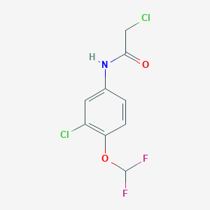 2-chloro-N-[3-chloro-4-(difluoromethoxy)phenyl]acetamide