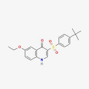 B2923843 3-(4-tert-butylphenyl)sulfonyl-6-ethoxy-1H-quinolin-4-one CAS No. 872199-94-5