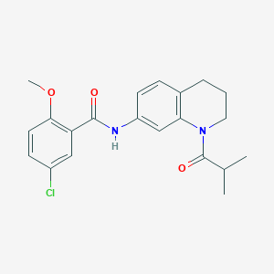 5-chloro-N-(1-isobutyryl-1,2,3,4-tetrahydroquinolin-7-yl)-2-methoxybenzamide