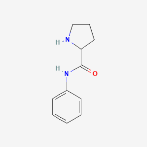 N-phenylpyrrolidine-2-carboxamide