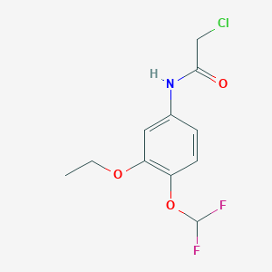 2-chloro-N-[4-(difluoromethoxy)-3-ethoxyphenyl]acetamide
