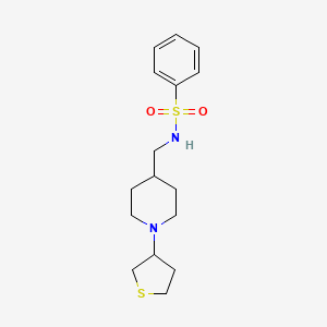 molecular formula C16H24N2O2S2 B2936639 N-{[1-(thiolan-3-yl)piperidin-4-yl]methyl}benzenesulfonamide CAS No. 2034477-05-7