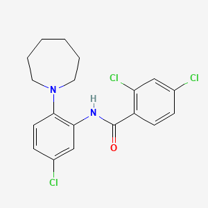 molecular formula C19H19Cl3N2O B2937023 N-[2-(azepan-1-yl)-5-chlorophenyl]-2,4-dichlorobenzamide CAS No. 383146-68-7