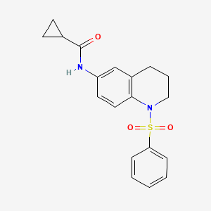 N-[1-(benzenesulfonyl)-3,4-dihydro-2H-quinolin-6-yl]cyclopropanecarboxamide