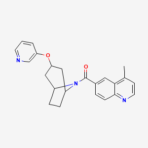 molecular formula C23H23N3O2 B2938092 4-methyl-6-[3-(pyridin-3-yloxy)-8-azabicyclo[3.2.1]octane-8-carbonyl]quinoline CAS No. 2109187-90-6