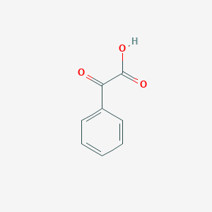 molecular formula C8H6O3 B029381 Benzoylformic acid CAS No. 611-73-4
