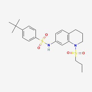 4-tert-butyl-N-[1-(propylsulfonyl)-1,2,3,4-tetrahydroquinolin-7-yl]benzenesulfonamide