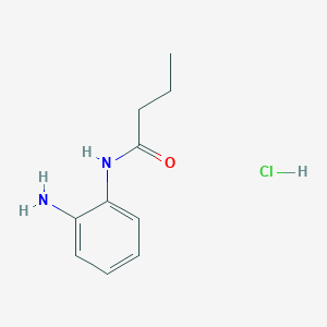 N-(2-aminophenyl)butanamide;hydrochloride