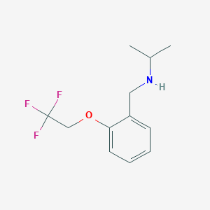molecular formula C12H16F3NO B2938917 N-[[2-(2,2,2-trifluoroethoxy)phenyl]methyl]propan-2-amine CAS No. 1095048-62-6