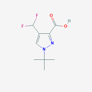 1-Tert-butyl-4-(difluoromethyl)pyrazole-3-carboxylic acid