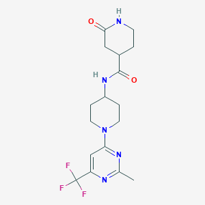 molecular formula C17H22F3N5O2 B2944483 N-(1-(2-methyl-6-(trifluoromethyl)pyrimidin-4-yl)piperidin-4-yl)-2-oxopiperidine-4-carboxamide CAS No. 2034225-73-3