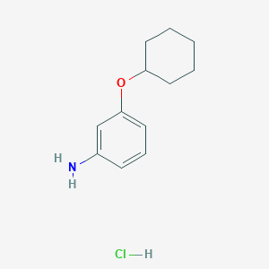 3-Cyclohexyloxyaniline;hydrochloride