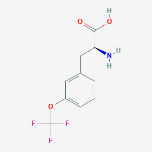 molecular formula C10H11ClF3NO3 B2948639 3-(三氟甲氧基)-L-苯丙氨酸 CAS No. 1241678-35-2