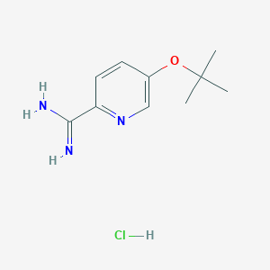 5-(Tert-butoxy)pyridine-2-carboximidamide hydrochloride