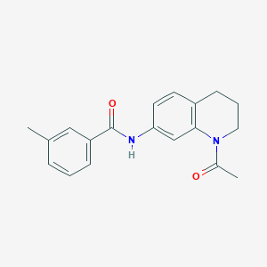 molecular formula C19H20N2O2 B2950991 N-(1-acetyl-1,2,3,4-tetrahydroquinolin-7-yl)-3-methylbenzamide CAS No. 898465-11-7