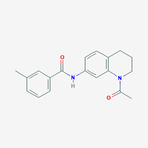 N-(1-acetyl-3,4-dihydro-2H-quinolin-7-yl)-3-methylbenzamide