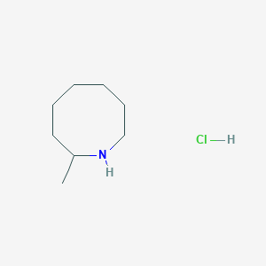 2-Methylazocane;hydrochloride