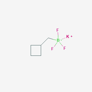 molecular formula C5H9BF3K B2952073 Potassium cyclobutylmethyltrifluoroborate CAS No. 2135480-21-4