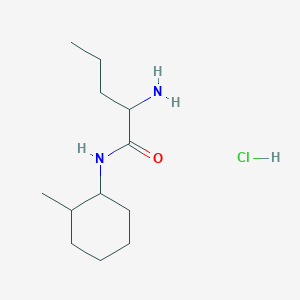 2-amino-N-(2-methylcyclohexyl)pentanamide hydrochloride