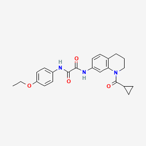 molecular formula C23H25N3O4 B2953922 N-(1-cyclopropanecarbonyl-1,2,3,4-tetrahydroquinolin-7-yl)-N'-(4-ethoxyphenyl)ethanediamide CAS No. 898429-52-2