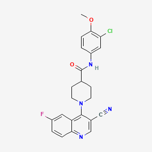 molecular formula C23H20ClFN4O2 B2956069 N-(3-chloro-4-methoxyphenyl)-1-(3-cyano-6-fluoroquinolin-4-yl)piperidine-4-carboxamide CAS No. 1207016-40-7