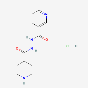 N'-(Piperidine-4-carbonyl)nicotinohydrazide hydrochloride
