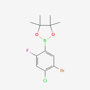 5-Bromo-4-chloro-2-fluorophenylboronic acid pinacol ester