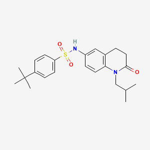 molecular formula C23H30N2O3S B2958892 4-(tert-butyl)-N-(1-isobutyl-2-oxo-1,2,3,4-tetrahydroquinolin-6-yl)benzenesulfonamide CAS No. 941912-25-0