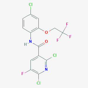 molecular formula C14H7Cl3F4N2O2 B2959997 2,6-dichloro-N-[4-chloro-2-(2,2,2-trifluoroethoxy)phenyl]-5-fluoropyridine-3-carboxamide CAS No. 1808487-95-7