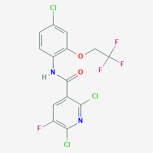 2,6-dichloro-N-[4-chloro-2-(2,2,2-trifluoroethoxy)phenyl]-5-fluoropyridine-3-carboxamide
