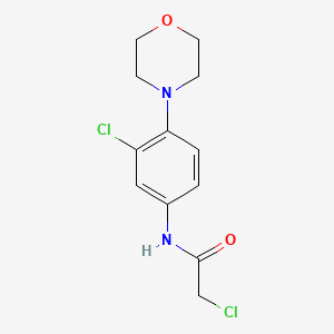 molecular formula C12H14Cl2N2O2 B2960454 2-Chloro-N-(3-chloro-4-morpholin-4-yl-phenyl)-acetamide CAS No. 669703-49-5
