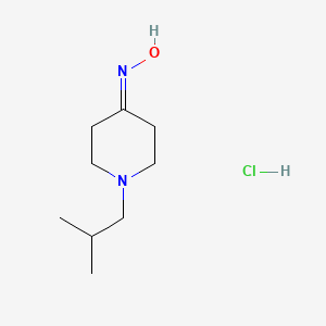 molecular formula C9H19ClN2O B2962523 1-Isobutylpiperidin-4-one oxime hydrochloride CAS No. 1171194-73-2