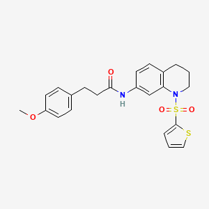 3-(4-methoxyphenyl)-N-(1-(thiophen-2-ylsulfonyl)-1,2,3,4-tetrahydroquinolin-7-yl)propanamide