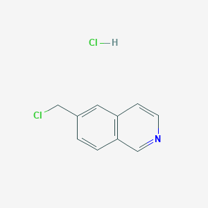 molecular formula C10H9Cl2N B2965827 6-(氯甲基)异喹啉盐酸盐 CAS No. 1393579-07-1
