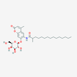 molecular formula C32H49NO9 B029680 2-methyl-N-[4-methyl-2-oxo-7-[(2S,3R,4S,5R,6R)-3,4,5-trihydroxy-6-(hydroxymethyl)oxan-2-yl]oxychromen-6-yl]pentadecanamide CAS No. 94452-17-2