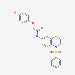 molecular formula C24H24N2O5S B2972630 N-[1-(benzenesulfonyl)-1,2,3,4-tetrahydroquinolin-6-yl]-2-(4-methoxyphenoxy)acetamide CAS No. 1005293-64-0