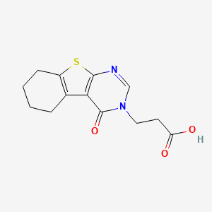 3-(4-oxo-5,6,7,8-tetrahydro[1]benzothieno[2,3-d]pyrimidin-3(4H)-yl)propanoic acid