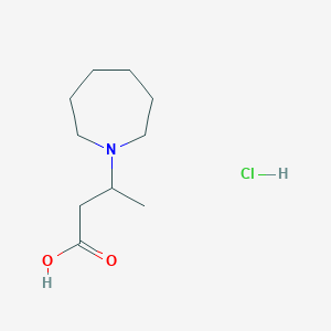 3-(1-Azepanyl)butanoic acid hydrochloride
