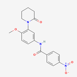molecular formula C19H19N3O5 B2976575 N-[4-methoxy-3-(2-oxopiperidin-1-yl)phenyl]-4-nitrobenzamide CAS No. 941982-58-7
