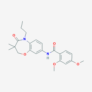 molecular formula C23H28N2O5 B2976699 N-(3,3-dimethyl-4-oxo-5-propyl-2,3,4,5-tetrahydrobenzo[b][1,4]oxazepin-8-yl)-2,4-dimethoxybenzamide CAS No. 921795-36-0