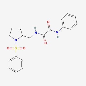 molecular formula C19H21N3O4S B2977035 N-{[1-(benzenesulfonyl)pyrrolidin-2-yl]methyl}-N'-phenylethanediamide CAS No. 896269-13-9