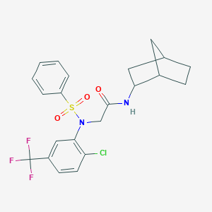 molecular formula C22H22ClF3N2O3S B297732 N-{BICYCLO[2.2.1]HEPTAN-2-YL}-2-{N-[2-CHLORO-5-(TRIFLUOROMETHYL)PHENYL]BENZENESULFONAMIDO}ACETAMIDE 