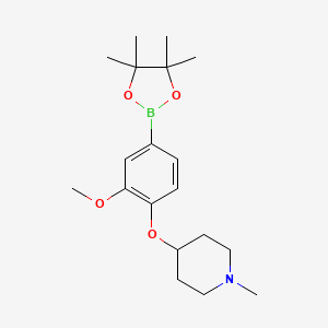 3-Methoxy-4-(N-methylpiperidin-4-yloxy)phenylboronic acid pinacol ester