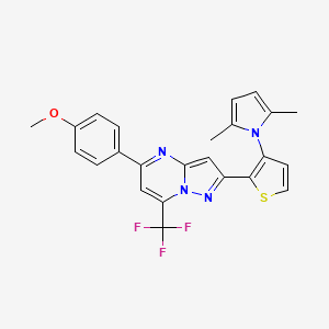 molecular formula C24H19F3N4OS B2978187 2-[3-(2,5-dimethyl-1H-pyrrol-1-yl)-2-thienyl]-5-(4-methoxyphenyl)-7-(trifluoromethyl)pyrazolo[1,5-a]pyrimidine CAS No. 861209-61-2