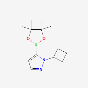 molecular formula C13H21BN2O2 B2982787 1-Cyclobutyl-5-(4,4,5,5-tetramethyl-1,3,2-dioxaborolan-2-yl)-1H-pyrazole CAS No. 2227297-73-4